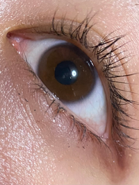 パーソナルカラー診断で黒目と白目のコントラストがはっきりしているかふん Yahoo 知恵袋