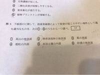 Representativegogreenorganizatio Yahoo 知恵袋