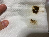 今現在爬虫類ブリーダーとしてご飯を食べている方に質問浅はかと思われる Yahoo 知恵袋