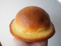 コンビニのエブリワンってなくなったのですか 大学時代 九州で一 Yahoo 知恵袋