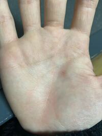 男 ２０歳 社会人2年目です 手相ができる方がいたらよ Yahoo 知恵袋