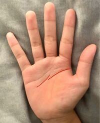 手相についてです 右手の知能線が途中で切れてるですがこれ Yahoo 知恵袋