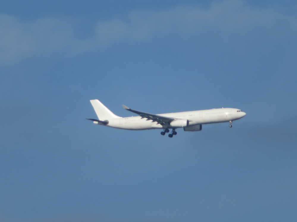 先日、機体全体が白色の飛行機を見ました。 大阪湾上空です。 ロゴも尾翼のマークもありません。 どちらの会社の飛行機なんでしょうか？