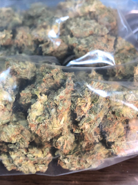 大麻の見分け方を知りたいです彼氏の家で大麻らしき草を見つけました袋に入ってい Yahoo 知恵袋