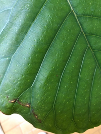 お忙しいところ申し訳ありませんが 知っている方がいらしたら教えて下さい Yahoo 知恵袋