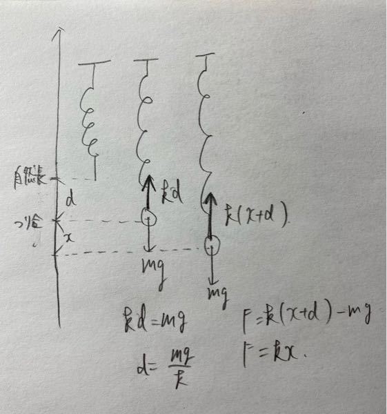 鉛直バネ振り子で復元力Fを求めるときに、上向を正とするとF＝kxとなってしまい、-kxになりません。どこが間違っているのでしょうか？ https://detail.chiebukuro.yaho...
