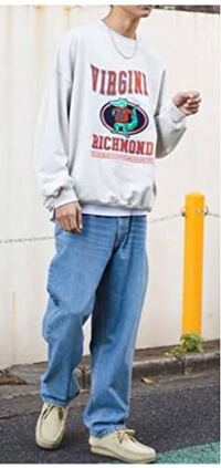 このトレーナーを大学生男子が着てたらダサいでしょうか ダサくはな Yahoo 知恵袋