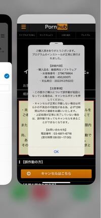 有機elディスプレイって何が良いんですか 尿液晶ですし 劣 Yahoo 知恵袋
