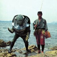 左のコ ウミガメでしょうか フジツボでしょうか 宇宙 Yahoo 知恵袋