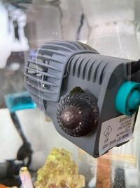 ニナ貝 シッタカ貝茹でたら何日もつのかなー Yahoo 知恵袋