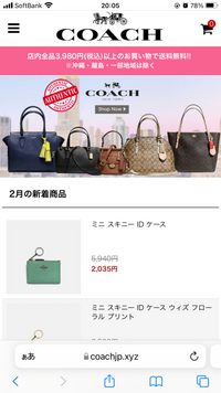 すみませんこちらのコーチは偽サイトでしょうカード番号を入力し