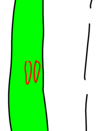 数ofwhich Whom と数outof数の意味の違いについて教えてくださ Yahoo 知恵袋