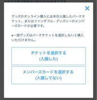 至急です ディズニーに行くので オンラインでカチューシャを購入 Yahoo 知恵袋
