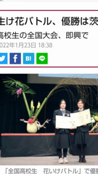 この生け花 バランス悪くないですか 全国高校生花いけバトルの優勝校の竹 Yahoo 知恵袋