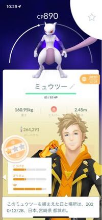 ポケモンxy6vイーブイタマゴを厳選してる時に6vが生まれました 夢特性じゃ Yahoo 知恵袋