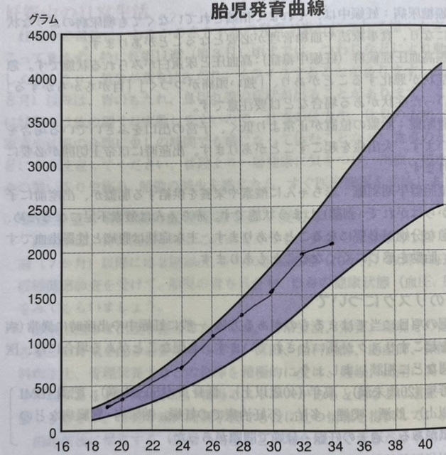 32w3dの時に1986g34w3dの今日29gでした 2週間前の Yahoo 知恵袋