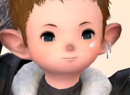 Ff14の耳飾りについて質問です 写真のように片耳に2連のイヤリ Yahoo 知恵袋