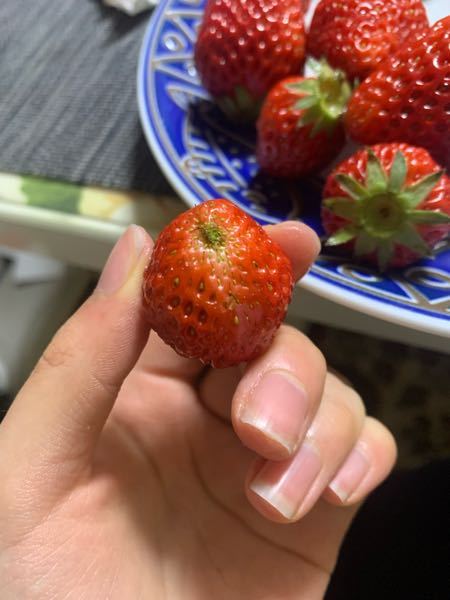 苺はどうしてこのように種が集まる時があるのですか？ 