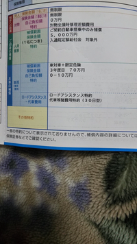 自動車保険って月いくら払ってますか 車種や保険内容も教えていただけると Yahoo 知恵袋