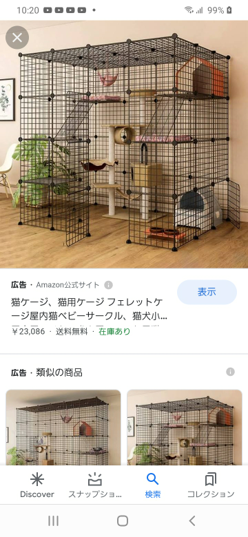下の写真のようなとても大きいケージで猫を一生飼うのは難しいで 
