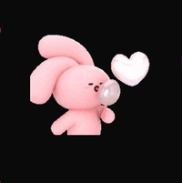 このウサギはなんという名前ですか 韓国インスタ Pink Yahoo 知恵袋