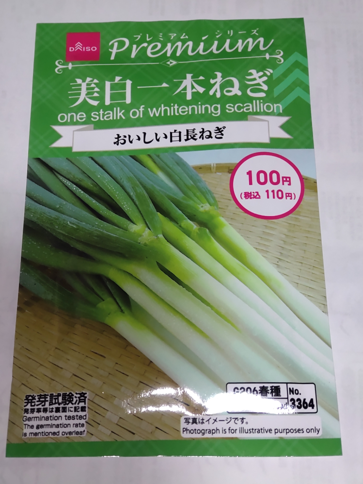 ねぎの栽培についてです。 - 昨年は買ってきた苗を7月の頭に
