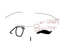 このキャラクターの名前分かりますか Yahoo 知恵袋
