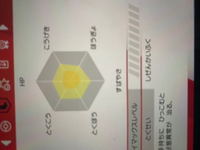 ポケモン金銀クリスタルで姓名判断士がどこにいるかわすれてしまいました ぜひ教え Yahoo 知恵袋