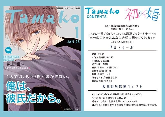 少女漫画の特典のサイズってL判ですか？↓こんな感じのやつです