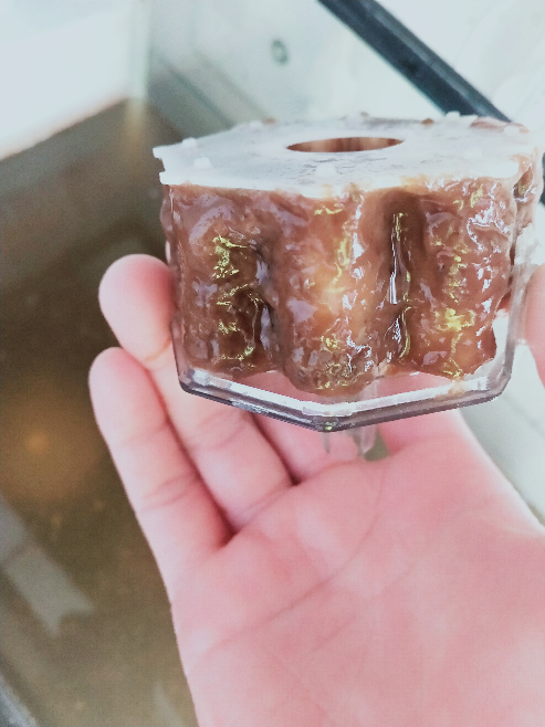 この茶色いドロドロはバクテリアですか 洗わないほうがいいんでしょ Yahoo 知恵袋