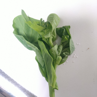 この野菜の名前なんですか どうやって調理したら美味しくなりま Yahoo 知恵袋