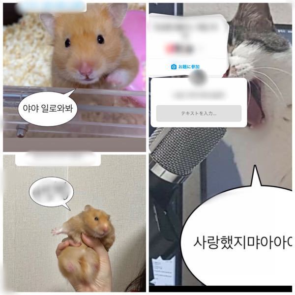よく韓国人のすとーりーで こんな画像を見かけるんですがどこから拾っ Yahoo 知恵袋