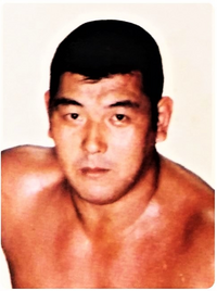 プロレスラーのガサガサ声多くないですか なんか職業病とか Yahoo 知恵袋