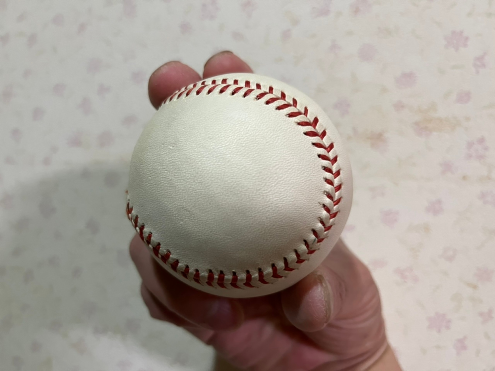 国士舘　野球　ユニフォーム上下セット 国士舘大学 軟式野球部 試合用ユニフォーム 上下セット