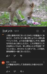 ライオンって猫も食べるのですか Yahoo 知恵袋