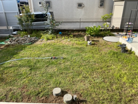 出張で目を離したすきに 芝生が雑草だらけになってしまいました こうなら Yahoo 知恵袋