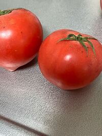 至急 この二つのトマトの黒い斑点はカビですか カビじゃ Yahoo 知恵袋