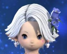 Ff14この髪型なんですか ヘアカタログ フェザーヘア Yahoo 知恵袋