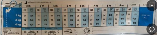 ジャックラッセルテリア二匹飼ってます 10歳と7歳のオスのうち 7歳の方が年に Yahoo 知恵袋