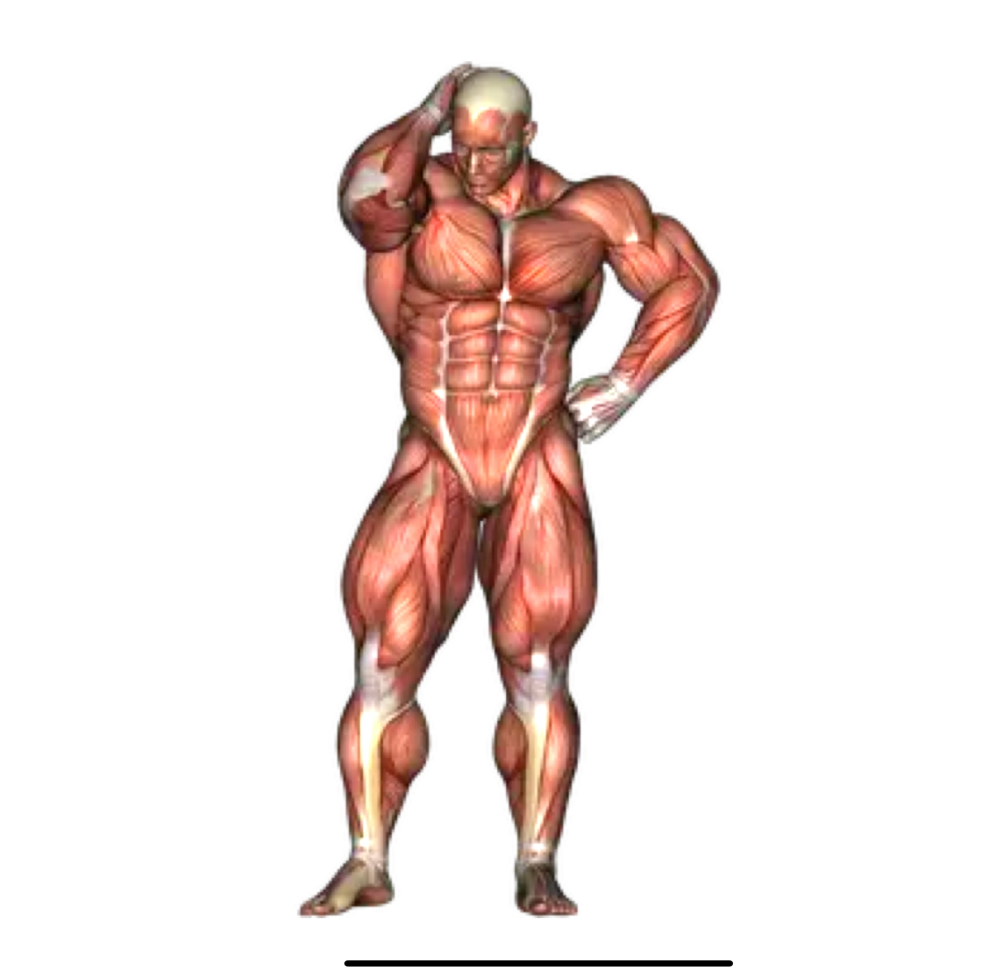 ポーマニで描いたことのないポーズに挑戦をしているのですが 左 Yahoo 知恵袋