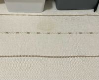 至急お願いしたいです 友達がカーペットにアイスこぼして汚 Yahoo 知恵袋