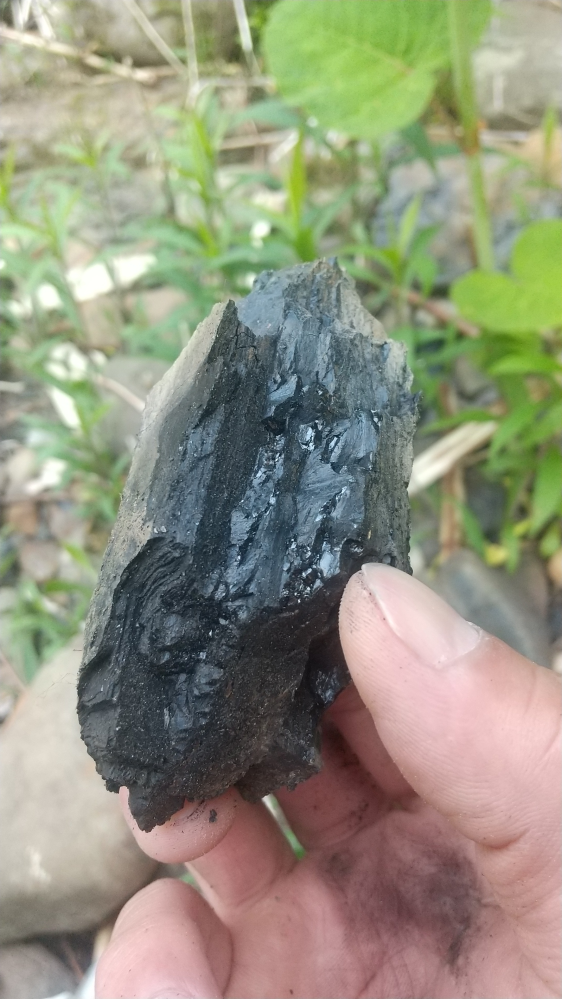 これは石炭ですか？美唄の川岸にたくさん埋ってました。
