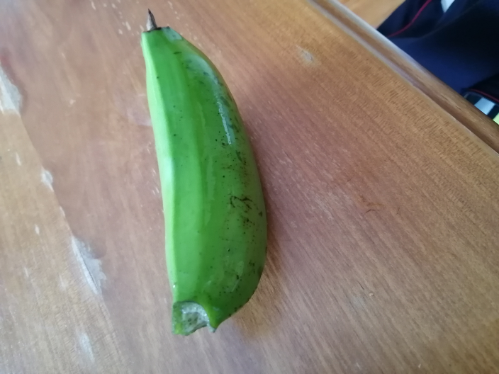 《至急》島でバナナを収穫したものの、画像のように、バナナがもげてしまいました。吊るして追熟するにも難しそうです。こういうバナナはどうやって熟させていますか？教えてください。