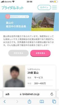 ブライダルネットって結婚相談所としてどうですか？ 