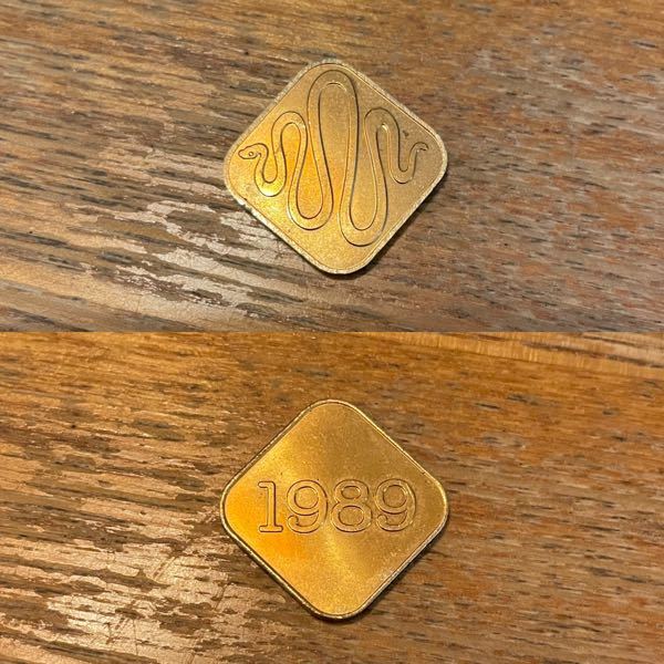 このコイン（硬貨）？が何かわかる方いらっしゃいますか？ 表に蛇のような図柄、裏面に1989と表記されています。