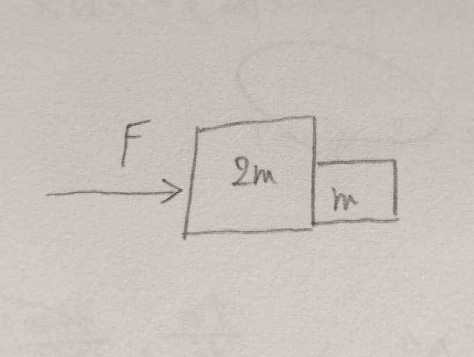 物理についての質問です。 平行な力Fの作用によって、質量mと2mの物体が動いています。2mの物体がmの物体に作用している力を求めよ、という問題で答えがF/3だったのですが、なぜでしょうか？摩擦力は無視できます。