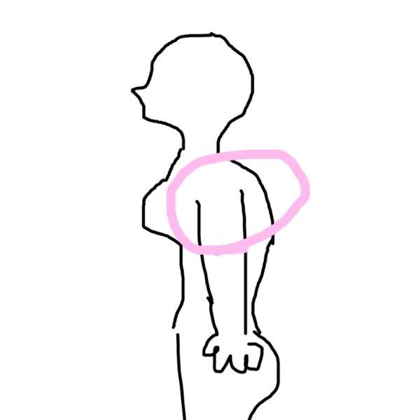 絵下手でごめんなさい。 画像のピンクの部分が、横から見た時とても太いです。 二の腕もめちゃ太いのですが、二の腕だけでなく背中の上の部分？も太いです 服を着て横から見ても、体が分厚いです。 ここは何に効く筋トレをしたら細くなりますか？