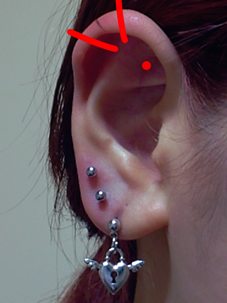 画像の赤い部分 アンテナヘリックスとアウターコンク にピアスを開けた Yahoo 知恵袋