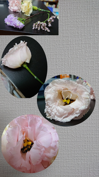 この薄ピンクの花の名前わかる方いますか 上のスターチス の隣の紫の花の Yahoo 知恵袋