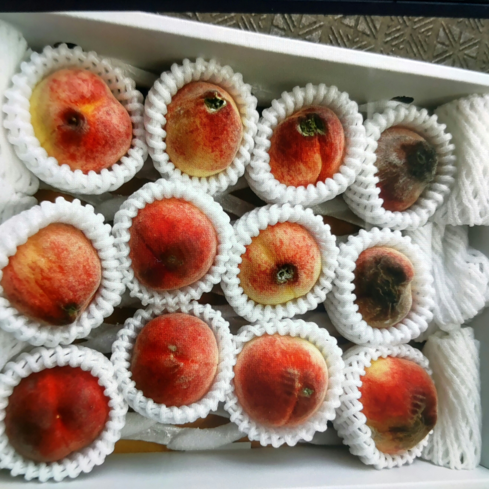 桃　出品者様へ　確認画面です 桃を買ったのですが全て腐ってカビてましたが交換も返品も受け付けて